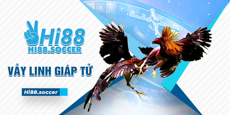 Vảy Linh Giáp Tử - 3 Tiêu Chí Đánh Giá Sức Mạnh Gà Chiến 1 vảy linh giáp tử