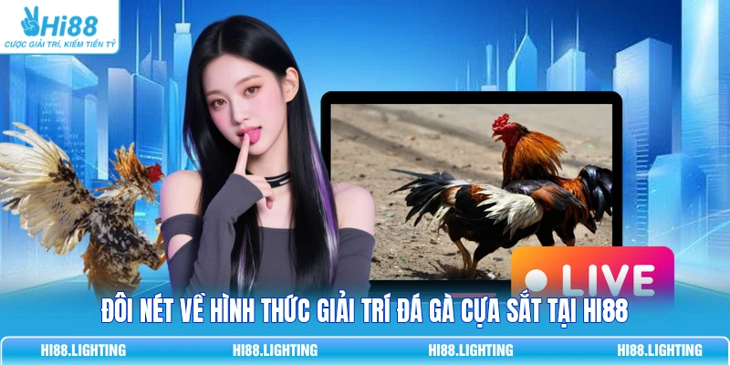 Đá Gà Cựa Sắt | Khám Phá Quy Tắc Tham Gia Cá Cược Tại Hi88 2 Đôi nét về hình thức giải trí đá gà cựa sắt tại Hi88